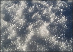 schneekristalle-9e1608b2-6c12-45a2-b3d9-0437bb0b374a